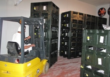 Recol·lecció de caixes