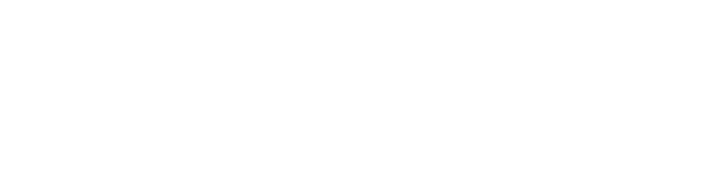Logo finançat UE